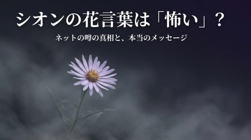 薄紫色のシオンの花と「シオンの花言葉は怖い？ネットの噂の真相と、本当のメッセージ」というタイトルテキスト