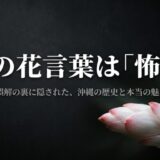 月桃の花言葉は「怖い」? 誤解の裏に隠された、沖縄の歴史と本当の魅力