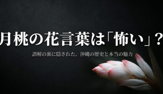 【月桃の花言葉】「怖い」と検索される3つの理由！恐ろしい伝説の真相