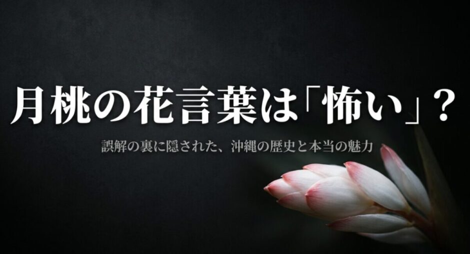 月桃の花言葉は「怖い」? 誤解の裏に隠された、沖縄の歴史と本当の魅力