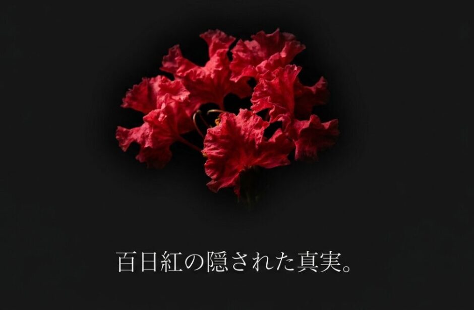 「百日紅の隠された真実。」と書かれたタイトルスライド 。
