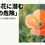 薄オレンジ色の可愛いナガミヒナゲシの花の右半分が、危険を知らせる警告表示に切り替わっているアイキャッチ画像。「可愛い花に潜む本当の危険」および「ナガミヒナゲシの正しい知識と対処法」というタイトル文字