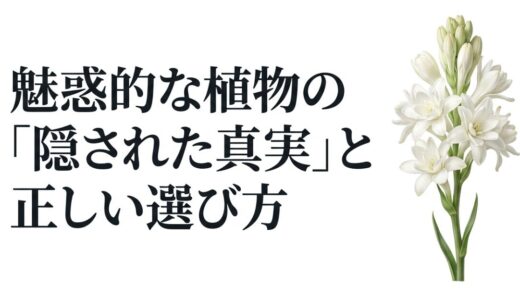 チューベローズの花言葉は怖い？その理由と魅惑の真実