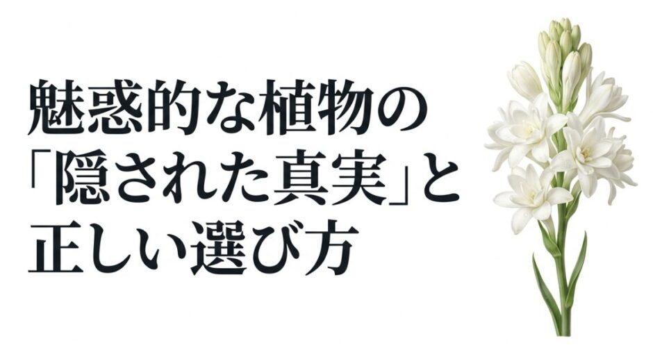 白いチューベローズの花のイラストとともに、「魅惑的な植物の『隠された真実』と正しい選び方」というタイトルが書かれたスライド 。