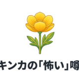 リュウキンカの「怖い」噂の真実と書かれたタイトル画像