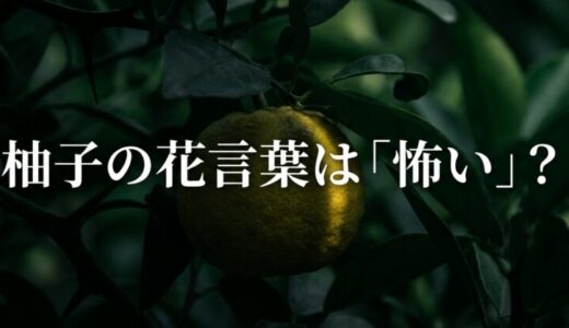 柚子の花言葉が怖いって本当？棘とネットが作り出した誤解を徹底解剖