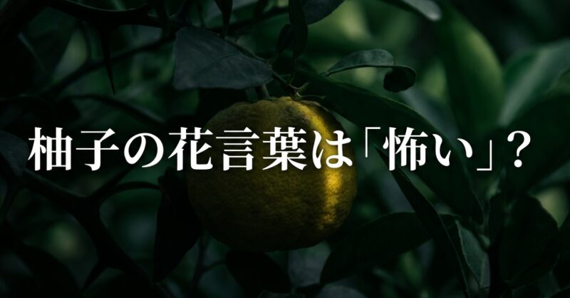 柚子　花言葉　怖い