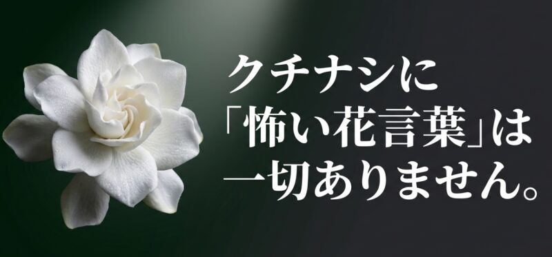 クチナシには怖い花言葉は一切なく、世界基準では「幸福」を象徴する最高の花であることを伝えるスライド画像