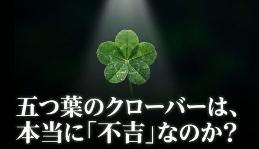 五つ葉のクローバーは不吉？「こっそり持つと不幸」の噂と回避法