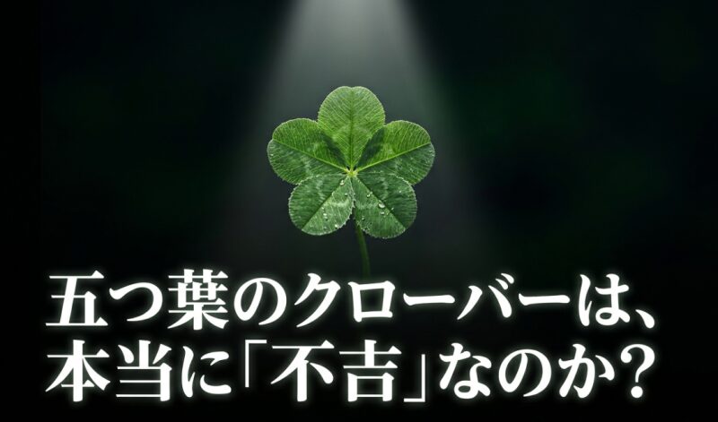 露に濡れた五つ葉のクローバーの写真と、「五つ葉のクローバーは、本当に『不吉』なのか？」というテキスト