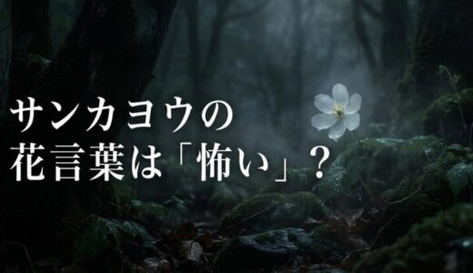 サンカヨウの花言葉が「怖い」は嘘！スケルトンフラワーの意外な真実