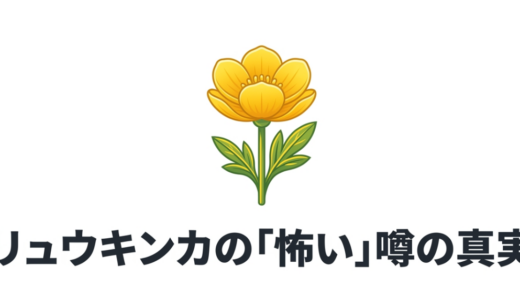 リュウキンカの花言葉は怖い？99%が誤解する毒の真実と由来