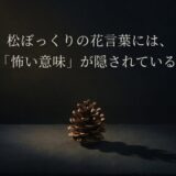 松ぼっくりの花言葉に隠された怖い意味の噂