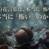 どんぐりの花言葉は本当に怖いのか？