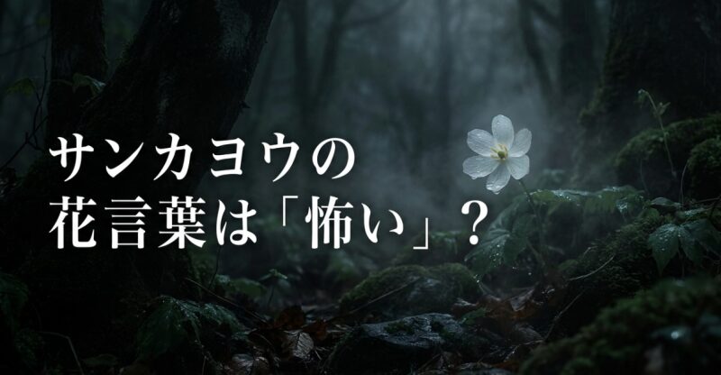 サンカヨウの花言葉は「怖い」