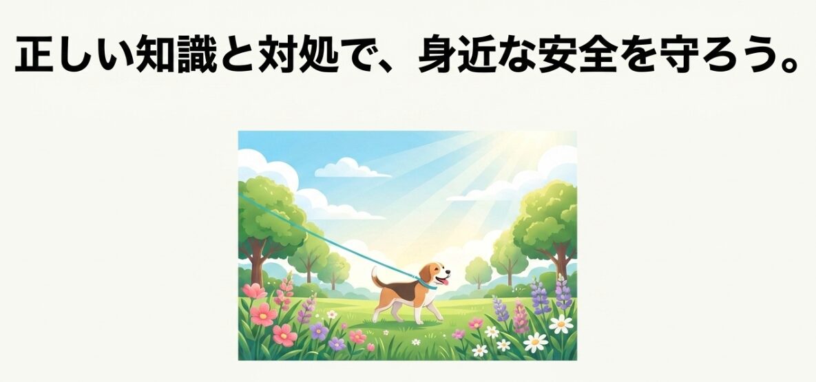 太陽が輝く緑豊かな公園で、犬が安全に散歩している平和な風景のイラスト。「正しい知識と対処で、身近な安全を守ろう。」というまとめのメッセージ