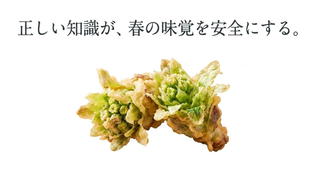 ふきのとうの天ぷらの美味しそうな写真と、「正しい知識が、春の味覚を安全にする。」というメッセージ