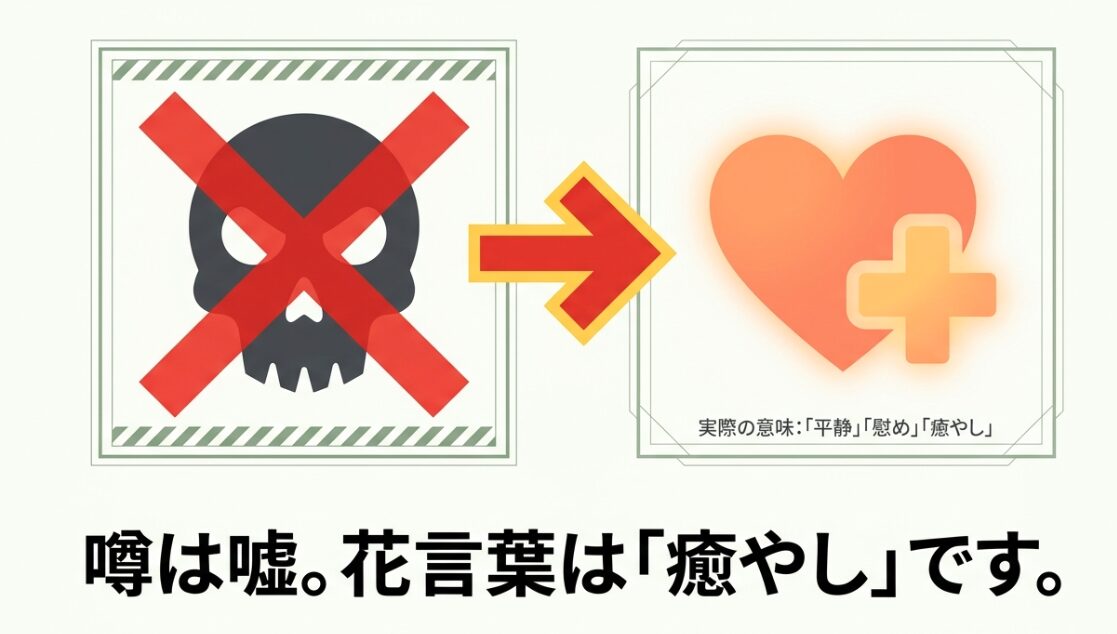 危険を示すドクロマークが否定され、矢印の先にオレンジ色のハートと十字マークに変わるイラスト。「実際の意味：「平静」「慰め」「癒やし」」「噂は嘘。花言葉は「癒やし」です。」というテキスト