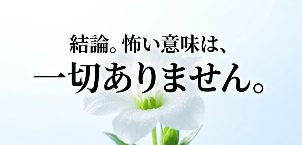 「結論。怖い意味は、一切ありません。」と書かれたスライド画像