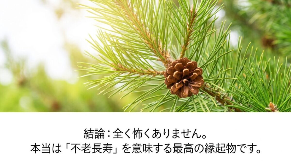 松ぼっくりの本当の花言葉は不老長寿で最高の縁起物