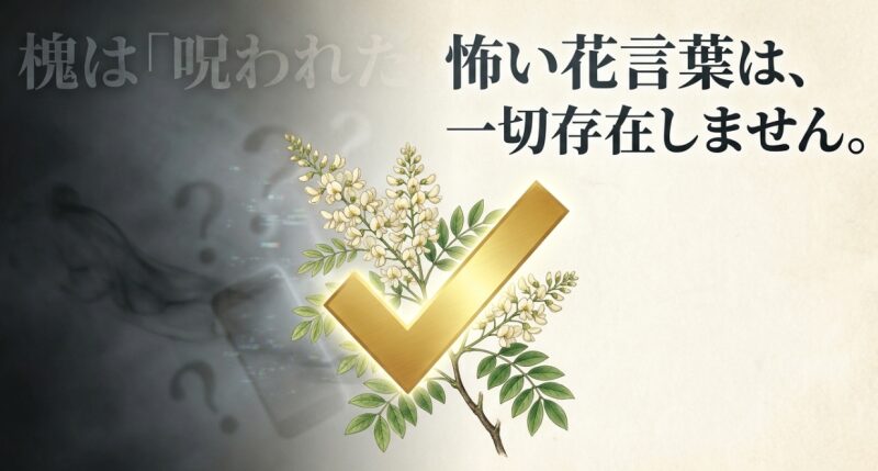 槐には呪われた怖い花言葉や不吉な意味は一切存在しないことを明確に示すスライド。