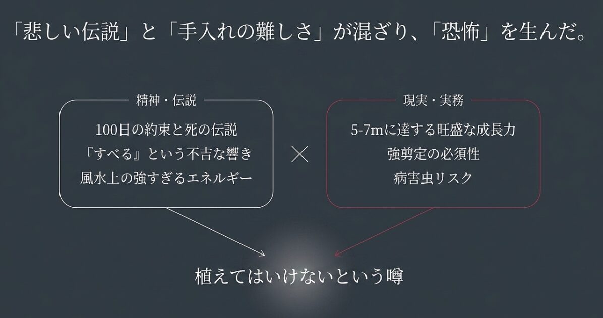 選ぶ色で庭の空気が変わるとして、赤（情念・生命力）、ピンク（愛嬌・調和）、白（潔白・癒し）の意味と代表品種を解説したスライド