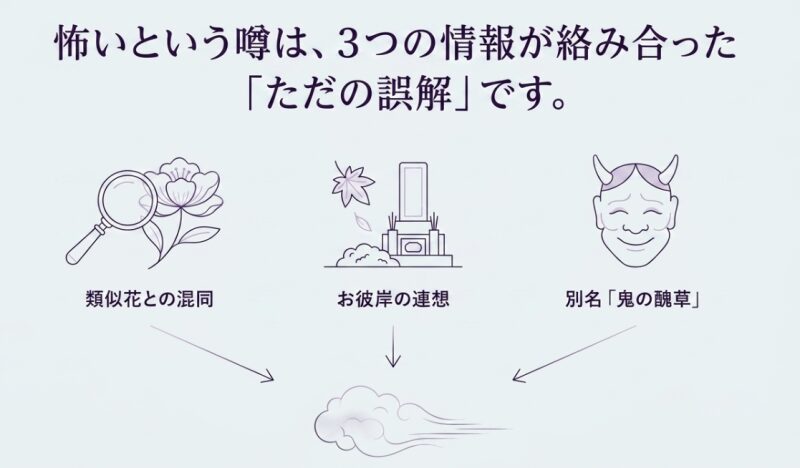 類似花との混同、お彼岸の連想、別名「鬼の醜草」という3つの情報が絡み合った誤解であることを示す図解