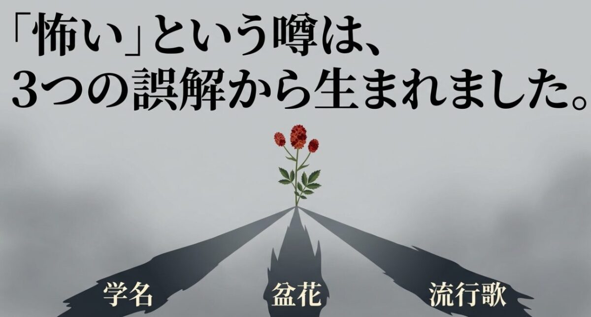 吾亦紅の「怖い」という噂は、学名、盆花、流行歌という3つの誤解から生まれたことを示すスライド