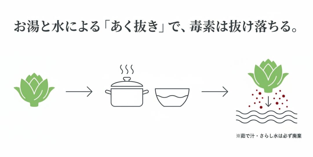 ふきのとうをお湯で茹でて水にさらすことで毒素が抜け落ちる過程のイラスト。茹で汁とさらし水は必ず廃棄するよう注意喚起されている