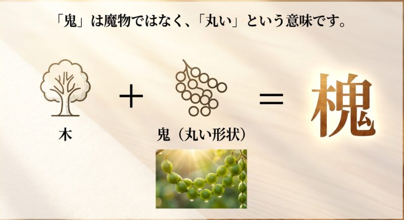 槐の漢字の成り立ちを図解。右側の「鬼」は魔物ではなく、種子やこぶの「丸い形状」を意味していることを解説。