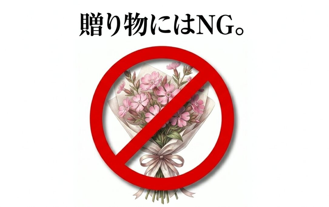 ムシトリナデシコは暗い花言葉を持つため贈り物やプレゼントにはNGであることを示す警告イラスト