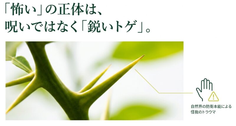 柚子の鋭いトゲのアップ写真と、怪我のトラウマへの注意喚起を示す図解