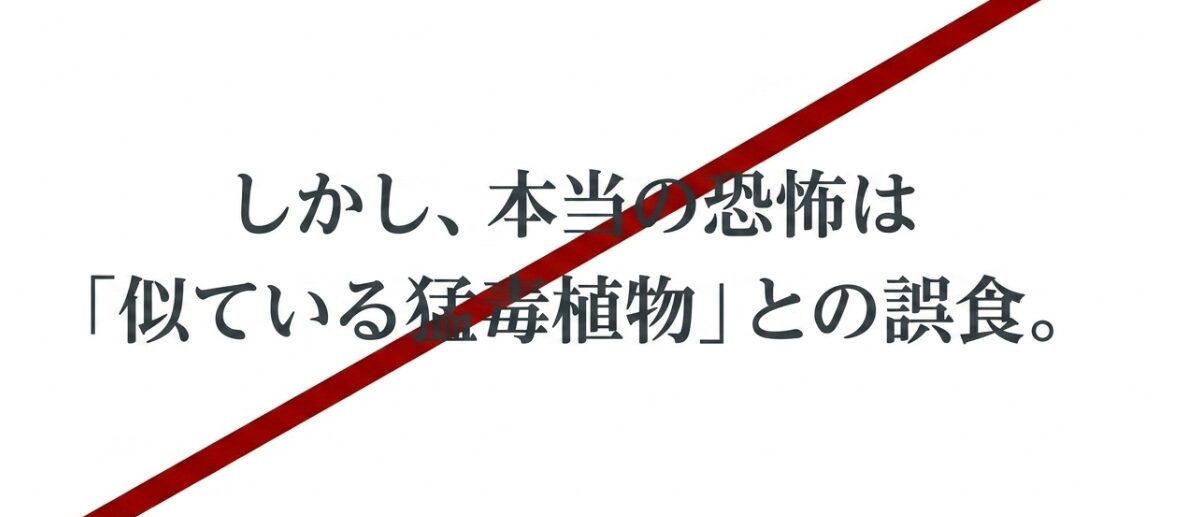本当の恐怖は「似ている猛毒植物」との誤食であると伝えるテキスト
