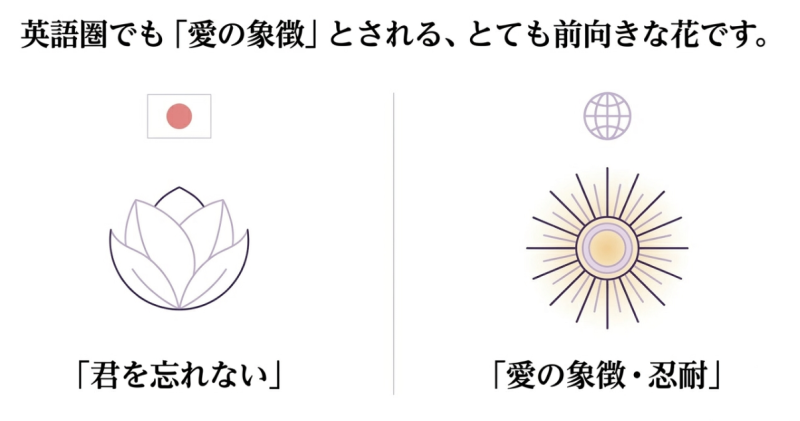 「君を忘れない」「愛の象徴・忍耐」という前向きなメッセージと、英語圏でも愛の象徴とされることを解説した図解