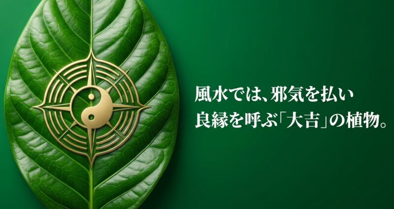 風水においてクチナシは、邪気を払い良縁を呼ぶ「大吉」の植物であることを示すスライド画像