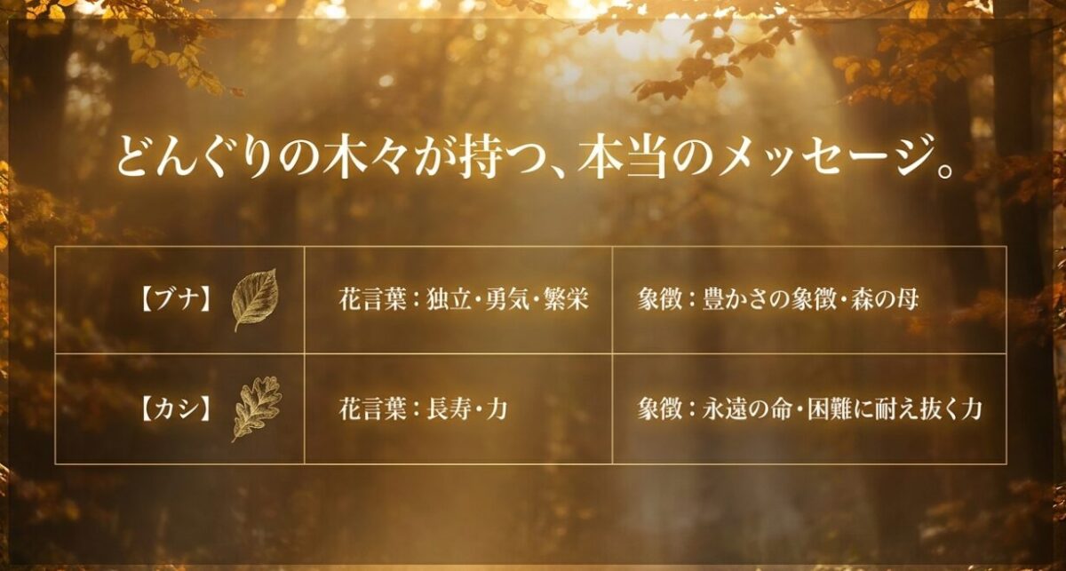 どんぐりは古来より世界中で愛される魔除けと長寿のお守り
