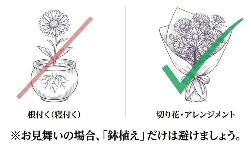 鉢植えは「根付く（寝付く）」ためバツ印、切り花やアレンジメントはチェックマークで推奨されているお見舞いマナーの図解