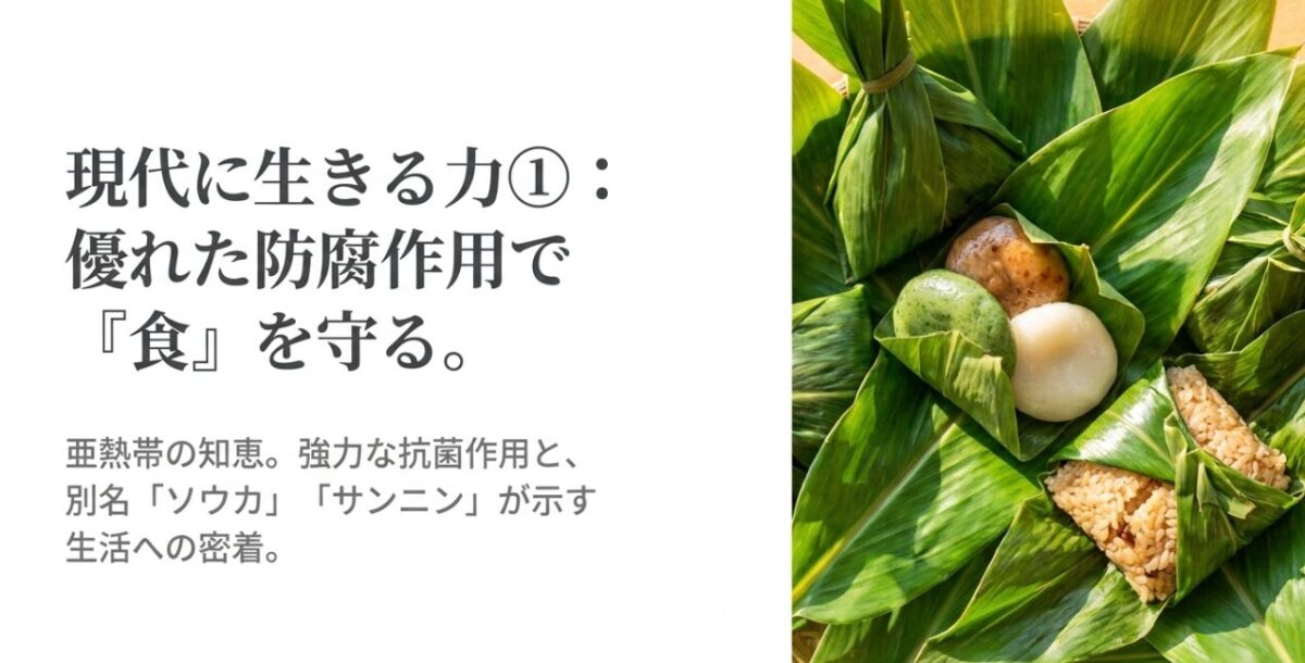 現代に生きる力①: 優れた防腐作用で 『食』を守る。 亜熱帯の知恵。強力な抗菌作用と、 別名「ソウカ」「サンニン」が示す 生活への密着。