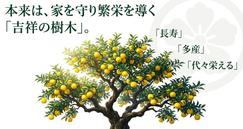 柚子が「長寿」「多産」「代々栄える」を象徴する吉祥の樹木であることを示す雲のイラスト