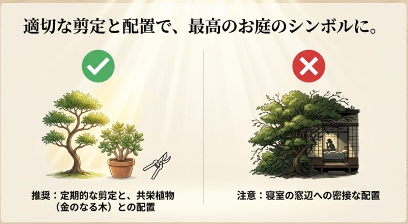 槐を庭に植える際の推奨例（定期的な剪定と金のなる木との配置）と、注意点（寝室の窓辺への密接な配置）をまとめた図解。