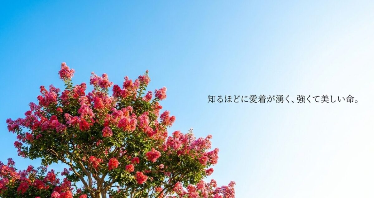 知るほどに愛着が湧く、強くて美しい命。」と書かれたまとめのスライド
