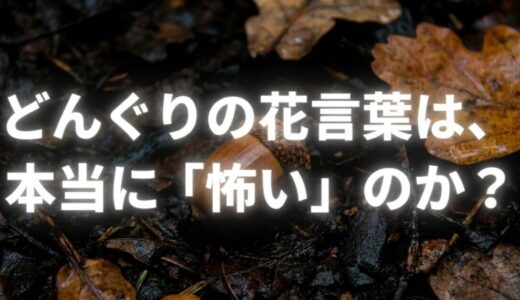どんぐりの花言葉は怖い？噂される5つの理由と本当の意味を徹底解説